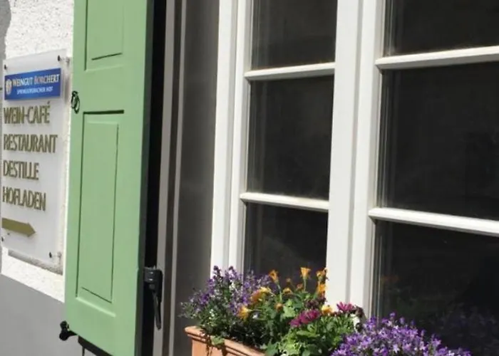 Apartamento Springiersbacher Hof