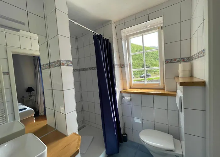 Springiersbacher Hof Ediger-Eller