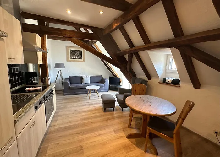 Apartamento Springiersbacher Hof Ediger-Eller