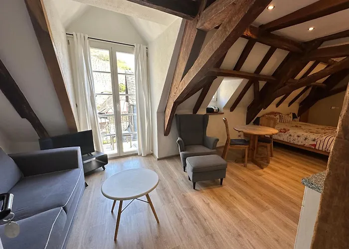 斯布格百切湖福酒店 公寓